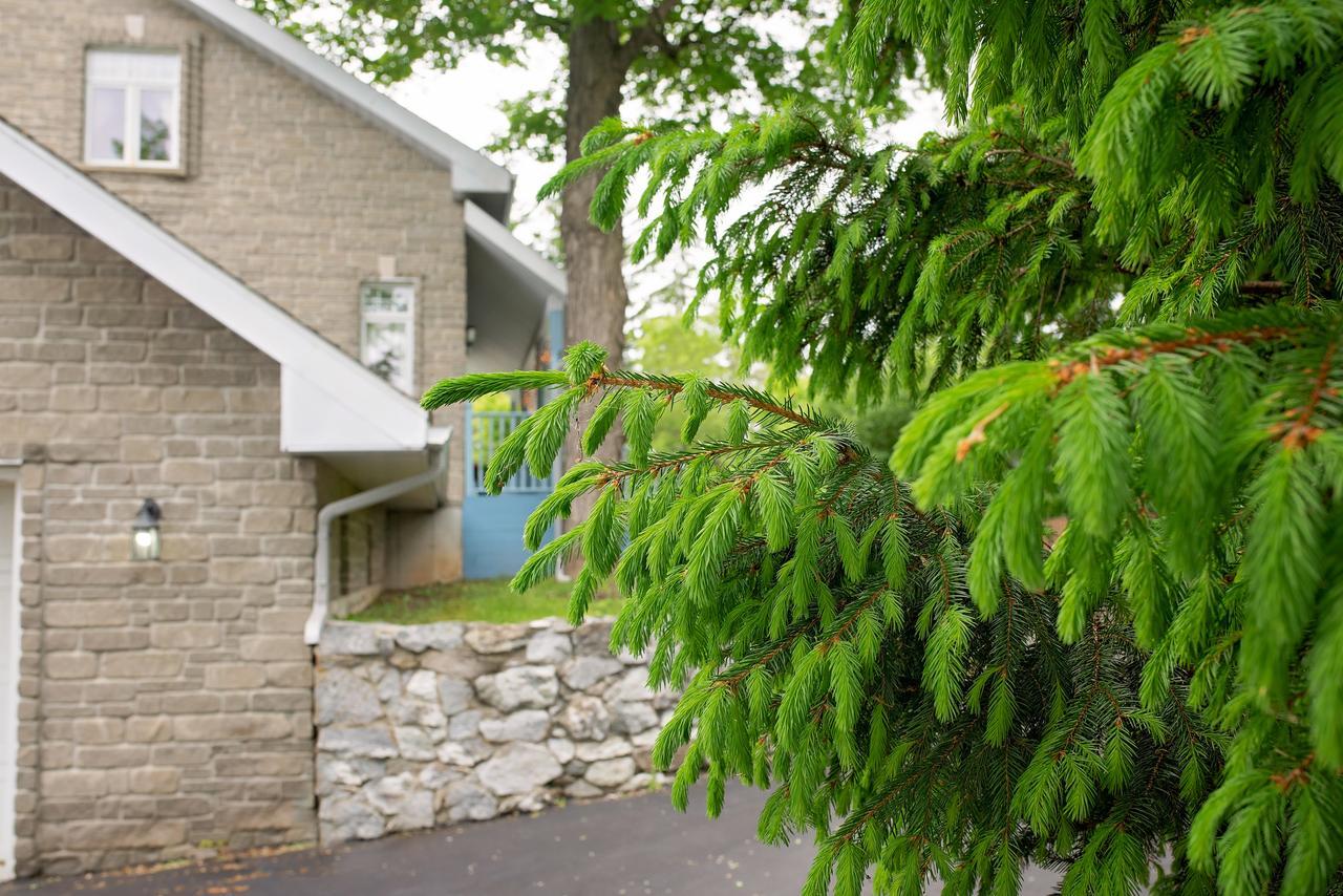 Rock Hill Bed & Breakfast Sharbot Lake Eksteriør bilde